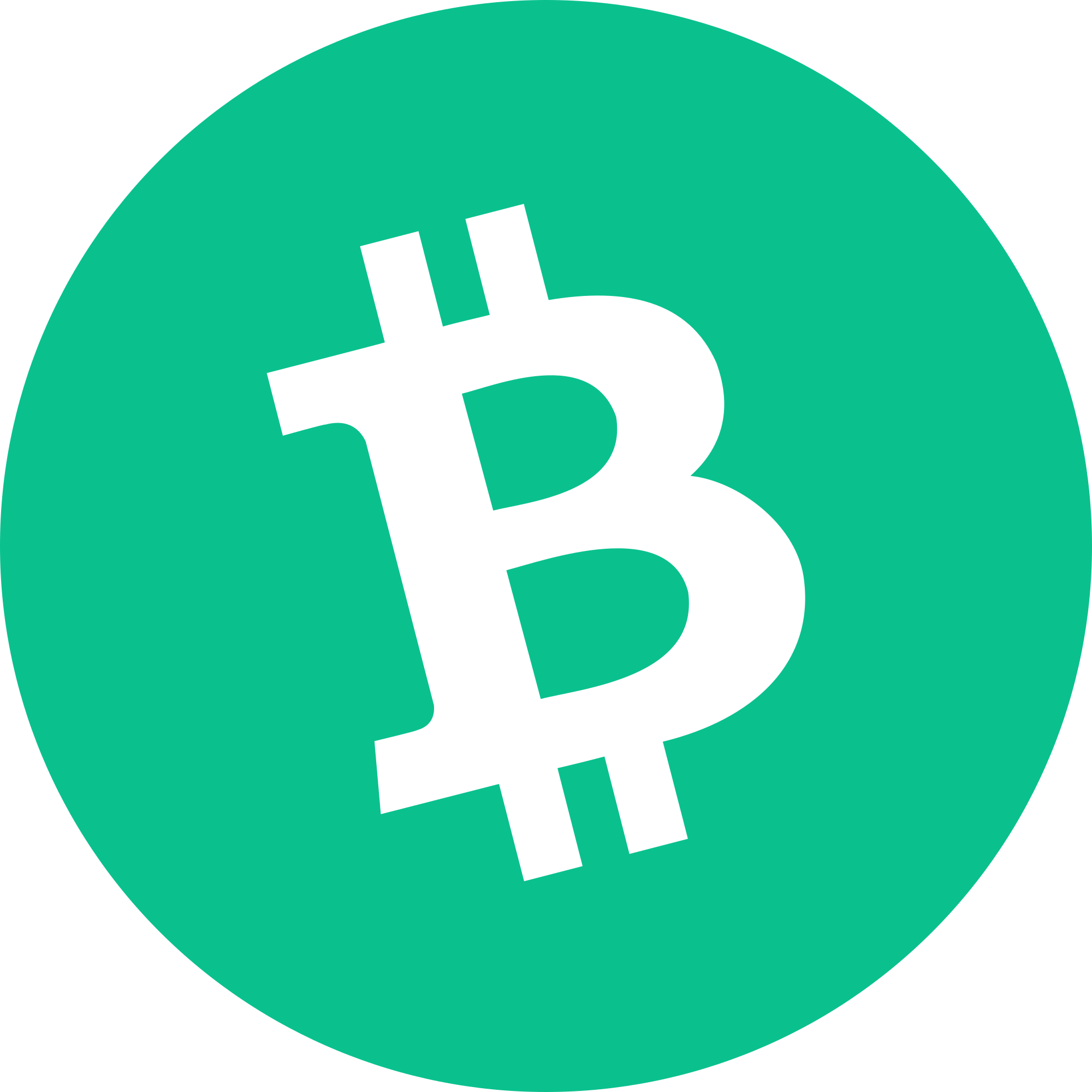 BCH Builders #10